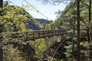 Tallulah Gorge Suspension Bridge