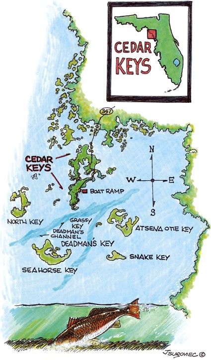 Cedar Key Map
